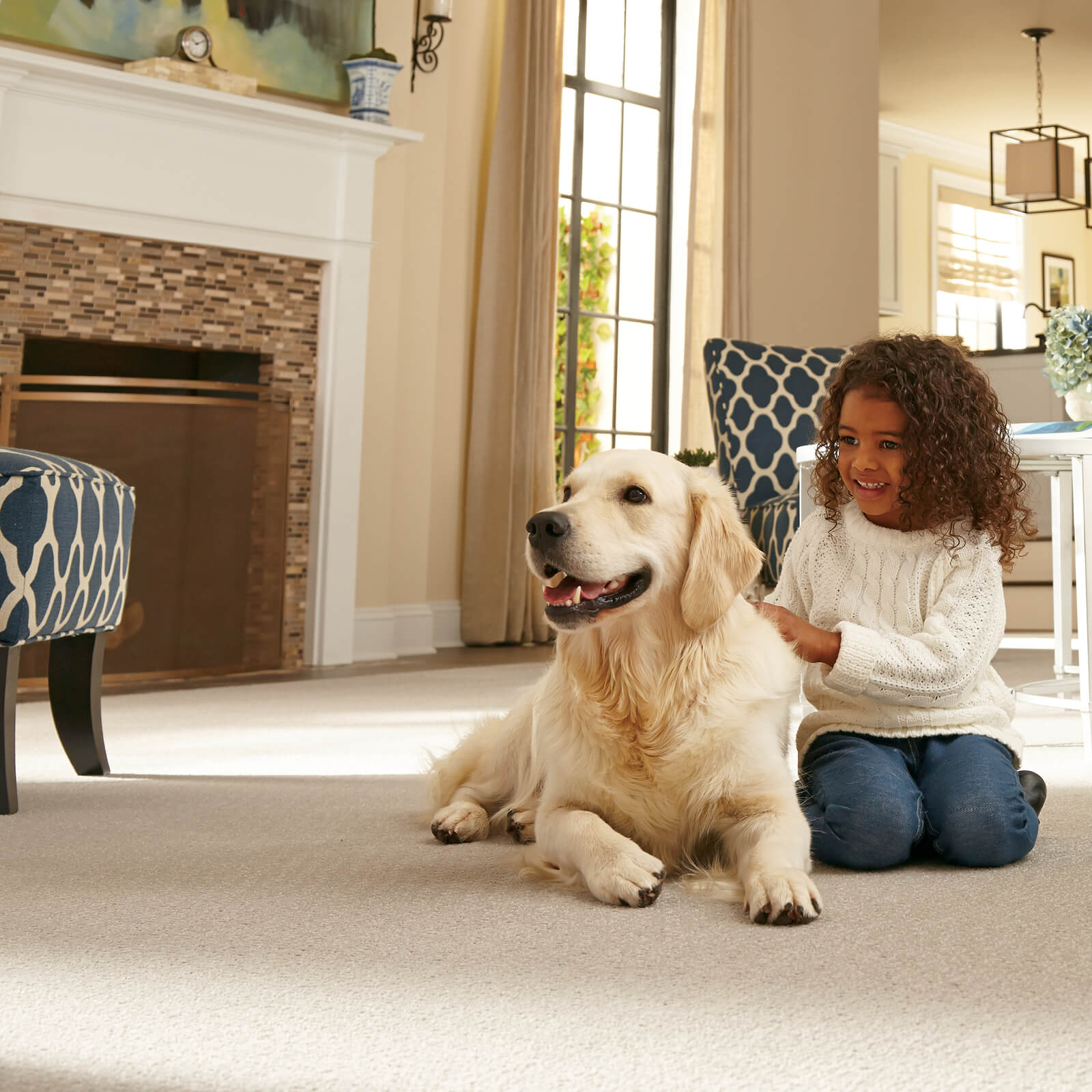 Pet friendly floor | AJ Rose Carpets