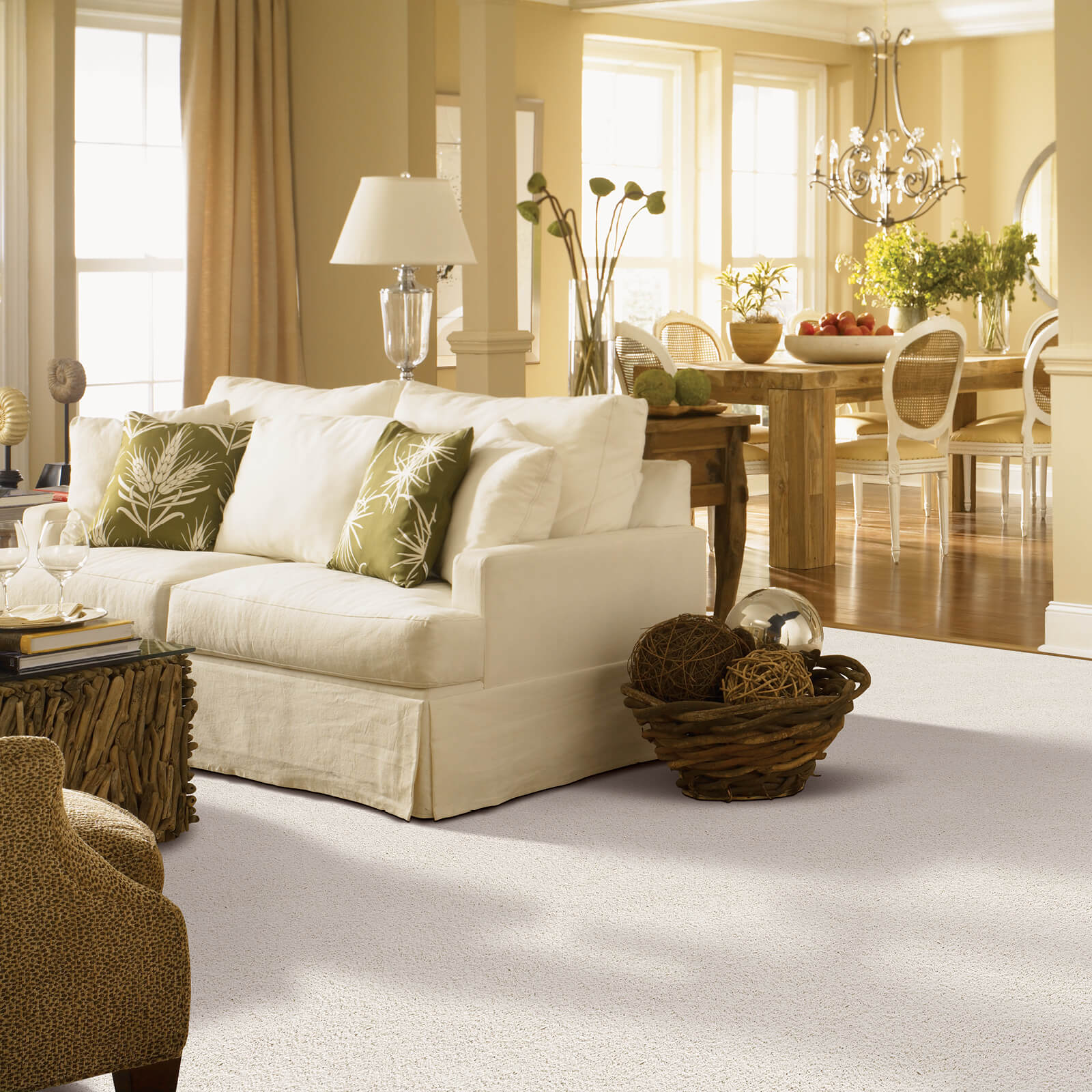 Gentle Approach of carpet | AJ Rose Carpets