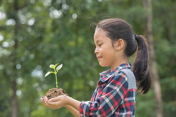 Child holding a newly sprouted plant in the park | AJ Rose Carpets