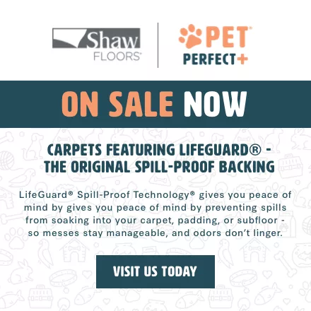 shaw per perfect on sale now