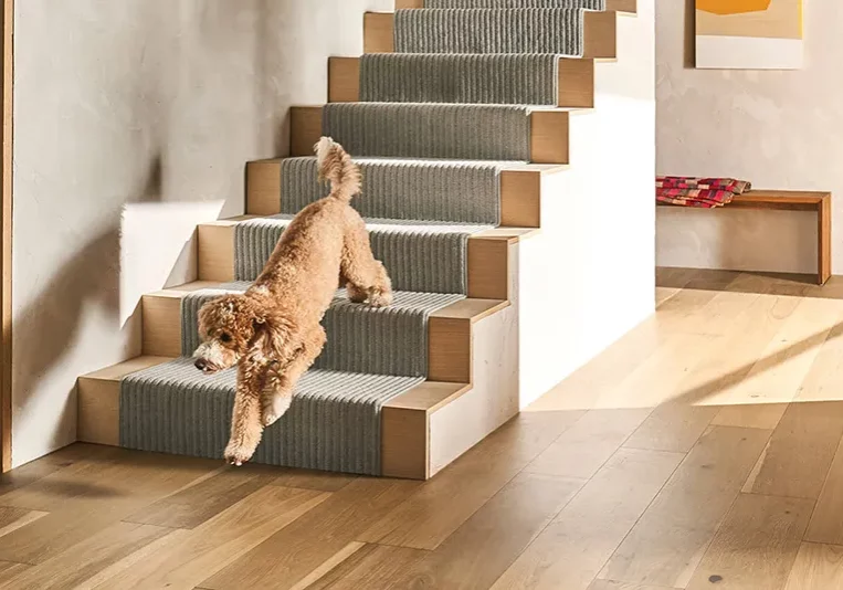 Dog running down steps with Stair Runners